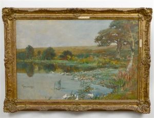 Landscape With Ducks