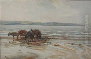 Gathering Wrack by John Carlaw