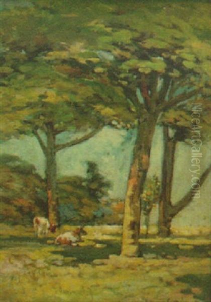 Cow's Restings - view 1