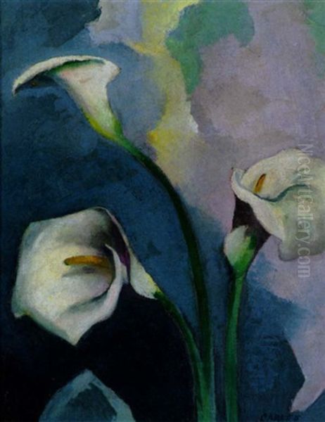 Calla Lilies - view 1