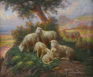 Moutons Au Coucher De Soleil Moutons Au Coucher De Soleil
