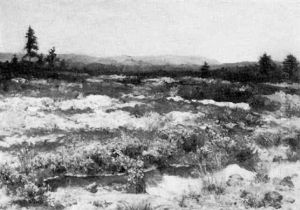 Extensive Moorland Landscape Extensive Moorland Landscape