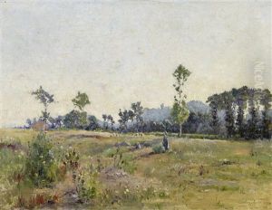 Feldlandschaft In Der Sologne