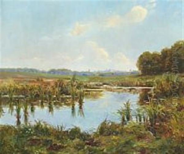 Scene From The Bog Near Skodsborg - view 1