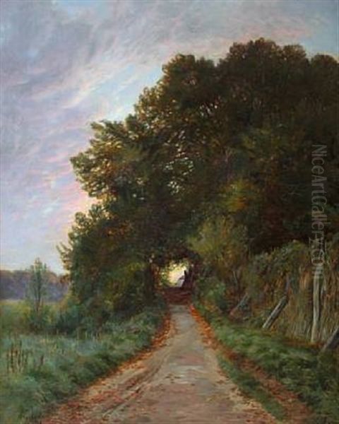 Landscape With Dirt Road In The Beginning Fall - view 1