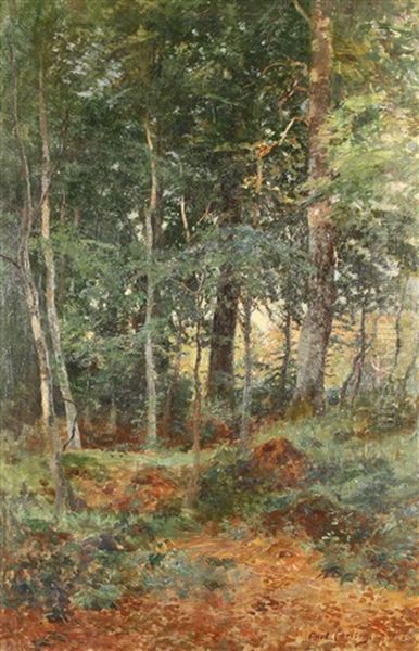 The First Days Of Autumn In A Forest by Carl Carlsen