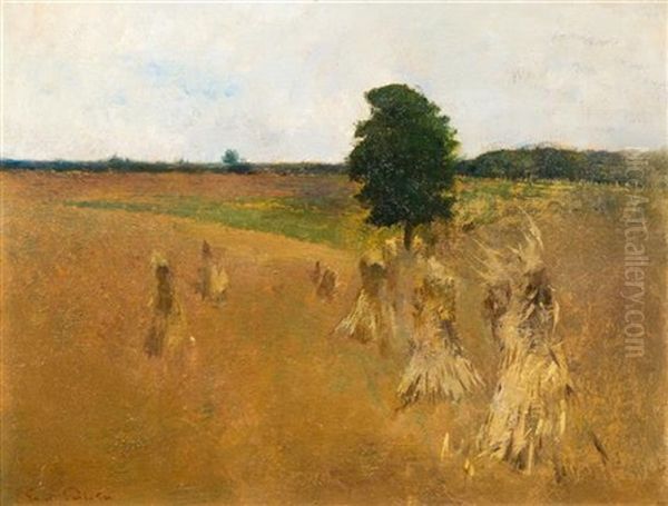 Landscape - view 1
