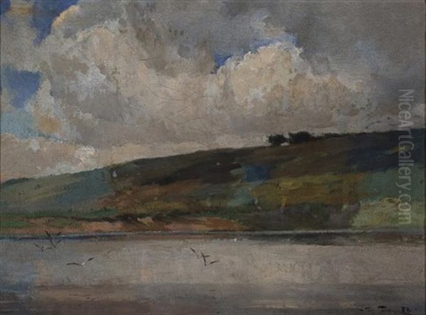 The Distant Shore - view 1