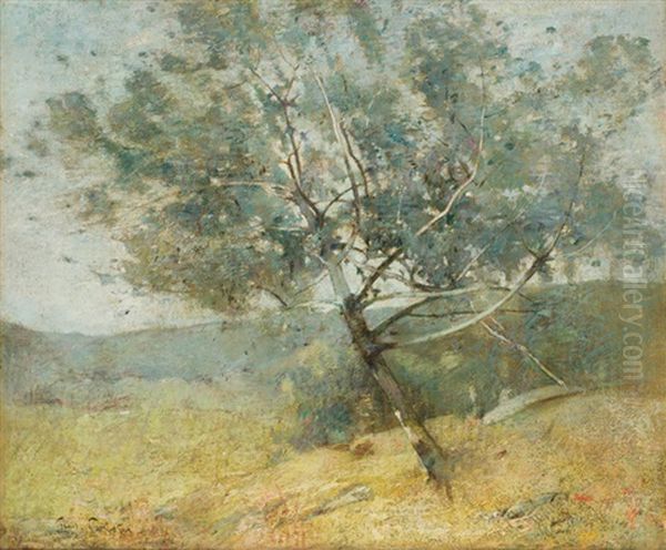 Springtime - view 1