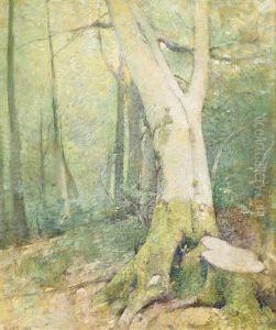 Woodland Interior Woodland Interior