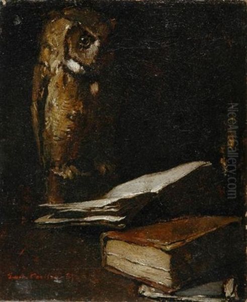 Owl With An Open Book - view 1