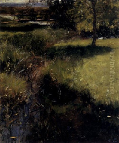 Meadow Stream - view 1