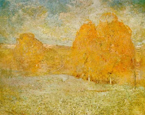 Trees In Autumn - view 1