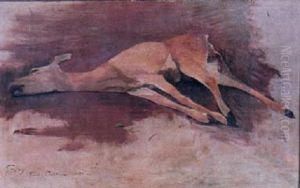 Fallen Doe Fallen Doe