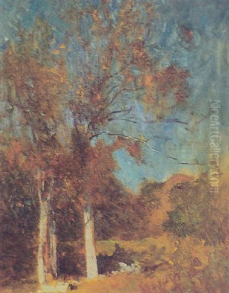 At The Edge Of The Woods - view 1