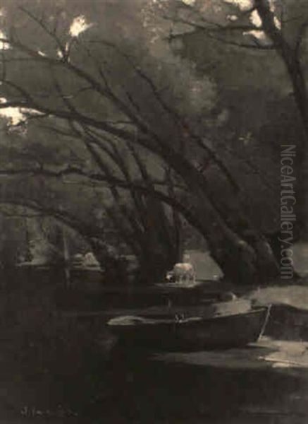 Under The Willows - view 1
