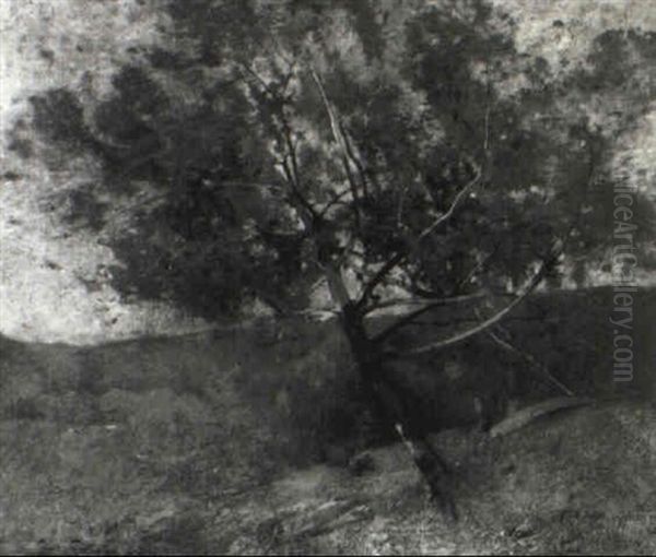 Landscape With Tree - view 1