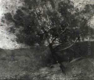 Landscape With Tree Landscape With Tree