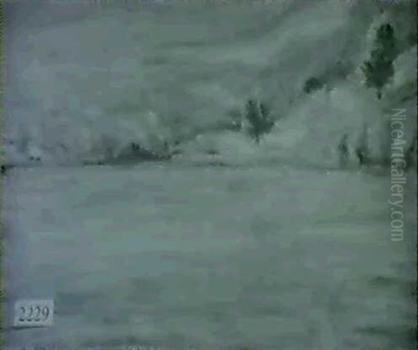 Landscape - view 1