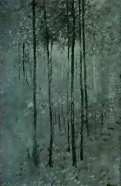 Landscape - view 1