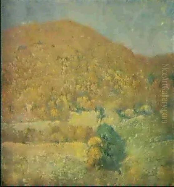 Landscape, Orange Mountain - view 1