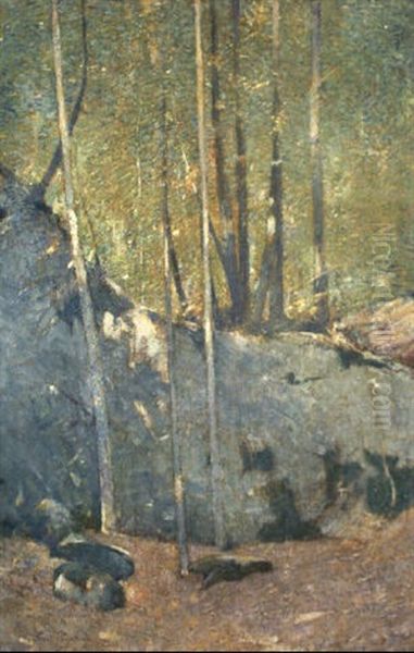 Wooded Interior - view 1