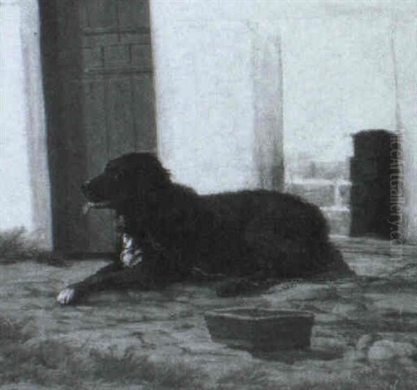 Portraet Af Liggende Hund - view 1