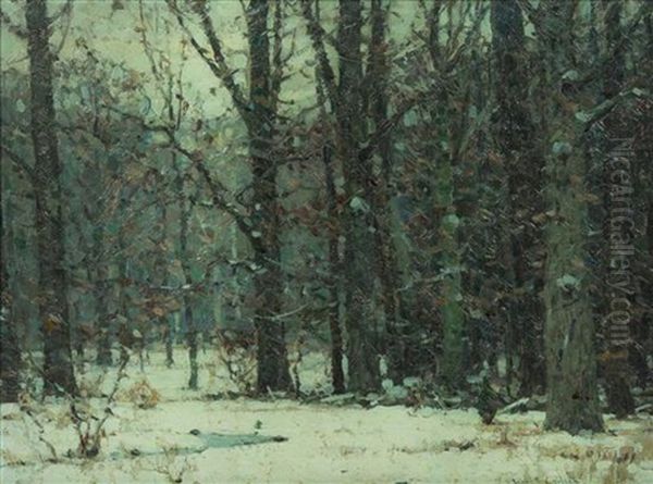 Silent Woods - view 1