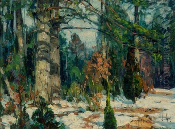 Forest Quiet - view 1