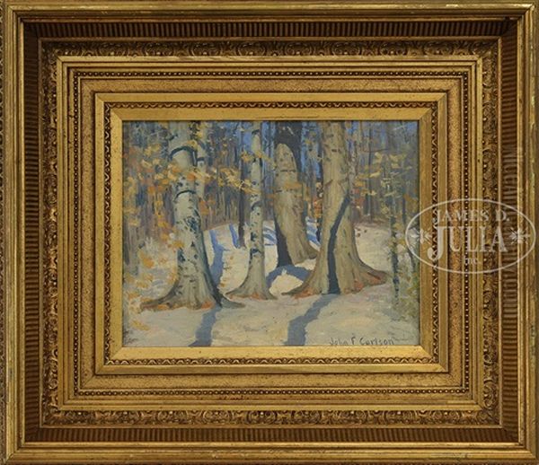 Winter Shadows - view 1