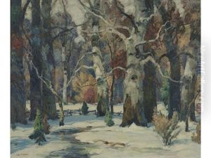 Sunlight Glades by John Fabian Carlson