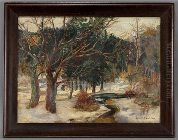 Winter Stream - view 1