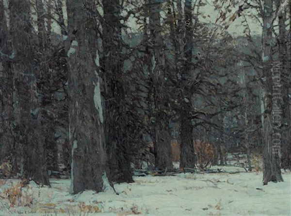 Silent Groves - view 1
