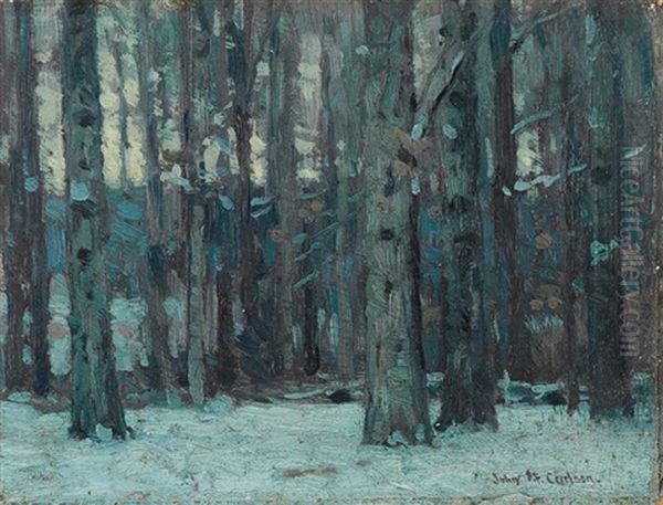 Twilight In The Woods - view 1