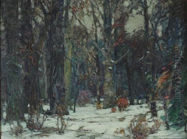 In Silent Forest - view 1