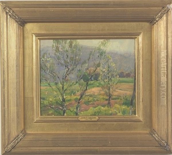 Fertile Meadow - view 1