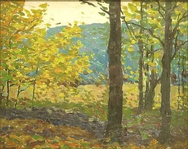 Morning Landscape - view 1