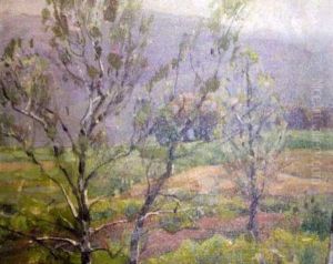 Fertile Meadow