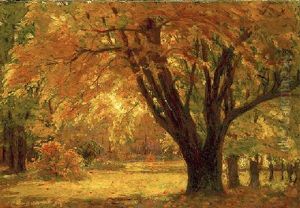 Autumn Sunlight by John Fabian Carlson