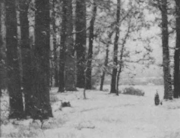 Wintry Glades - view 1