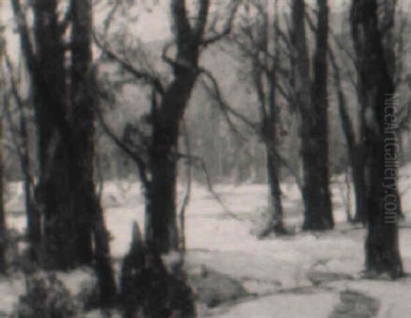 Morning Sun: Winter Landscape - view 1