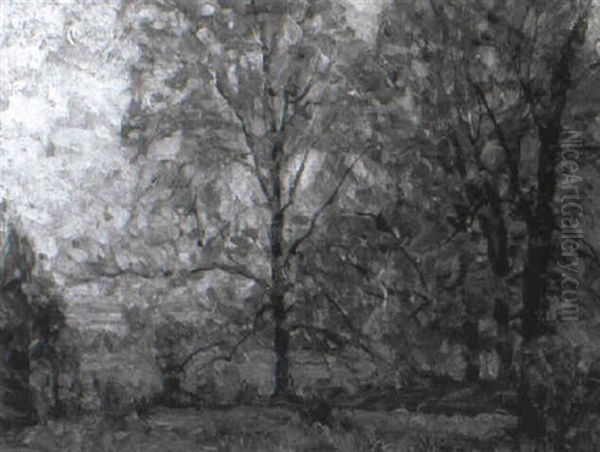 October Morning - view 1