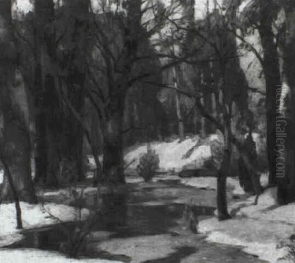 Woodland Waters - view 1