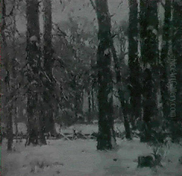 Gathering Shadows - view 1