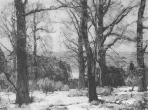 Snowy Copse