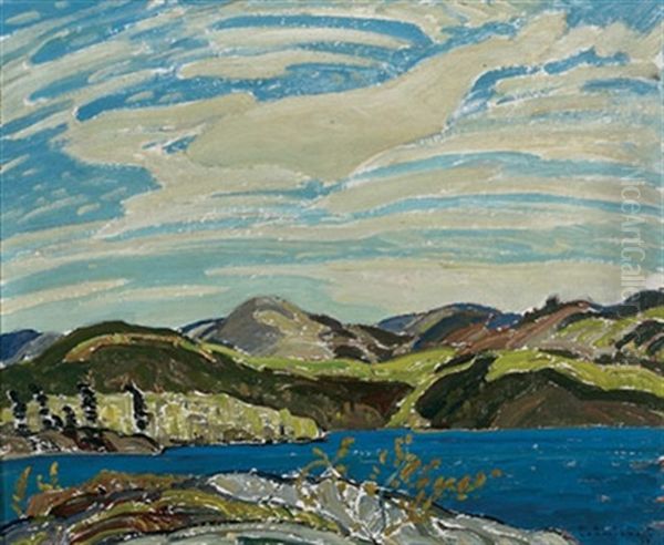 Spring, Frood Lake - view 1