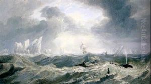 Whales And Icebergs