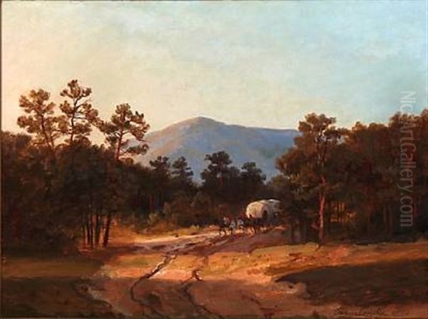 Horse-drawn Coach In The Forest - view 1