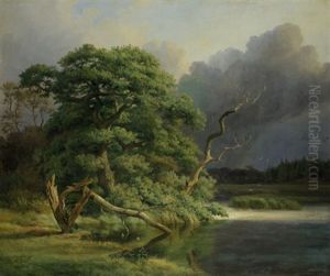 Alte Eichen An Einem Weiher Alte Eichen An Einem Weiher