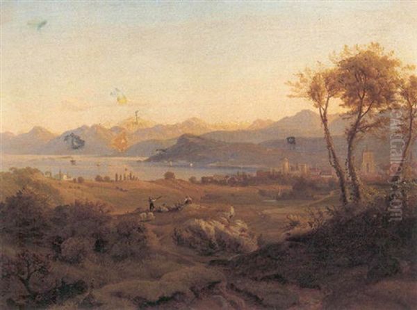 Parti Fra Bodensoen I Schweiz - view 1